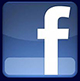systron on facebook