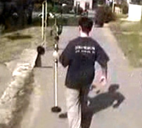 Kép címe... Kép címe...